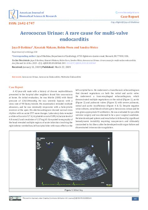 (PDF) Aerococcus Urinae: A rare cause for multi-valve endocarditis ...