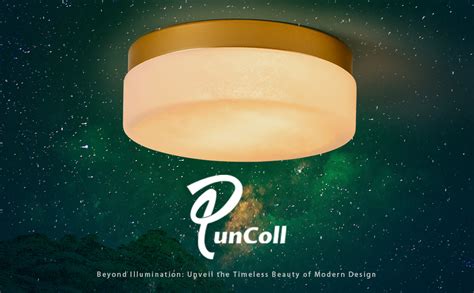 puncoll 12 inch Ceiling Light Fixtures, Cloudy Glass Ceiling lighting ...