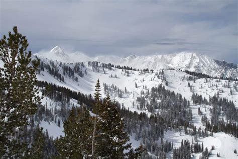 Everything You Need to Know About Snowbird - MountainWatch Travel