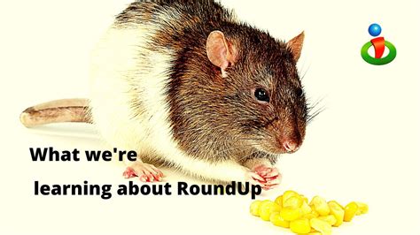 Does RoundUp have this affect on your health?! - YouTube