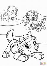 The Best Free Skye coloring Page Images Download From 176  sketch template