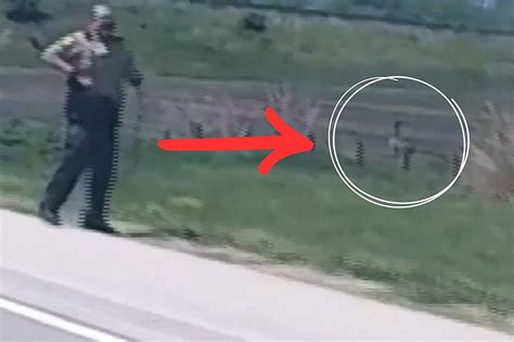 Driver Shares Video of Illinois Police Chasing an Emu on Highway