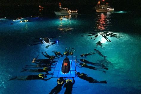 Big Island, Hawaii: Night Manta Ray Snorkel Experience