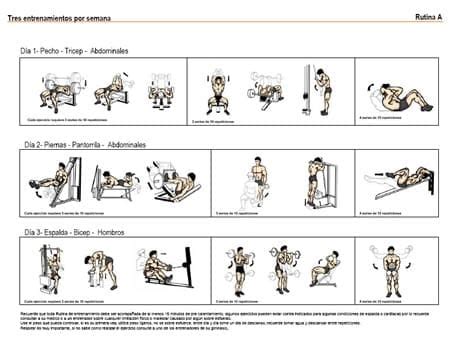 Dos rutinas de pesas para principiantes (PDF) | Cambiatufisico