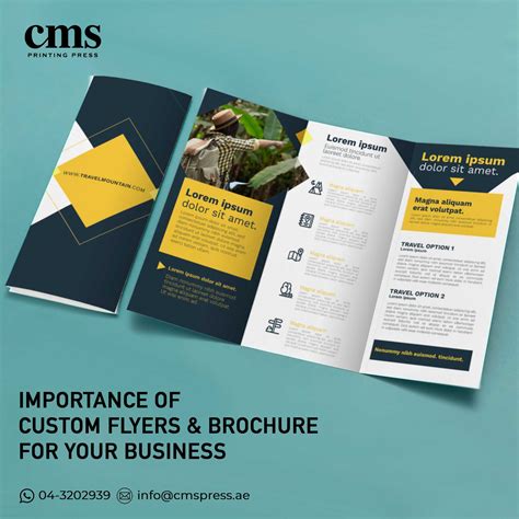 Importance of Custom Flyers & Brochures for Your Business - CMS