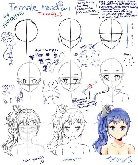 Manga Girl Head Tutorial on PaintToolSai by Animecho on DeviantArt