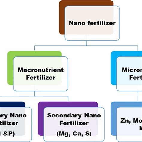 Mechanism of adaptation of plants to low nutrient supply. | Download ...