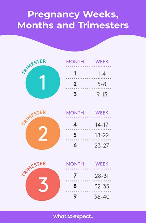 Weeks Of Gestation By Trimester Chart