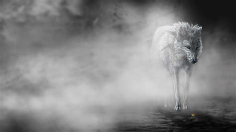 4K Wolf Wallpaper - WallpaperSafari