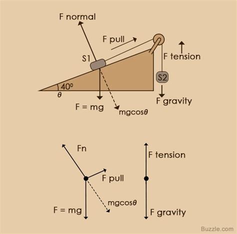 Free Body Diagrams Worksheets Physics