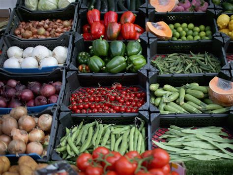 'Frying vegetables in oil healthier than boiling them and may prevent cancer', study finds | The ...