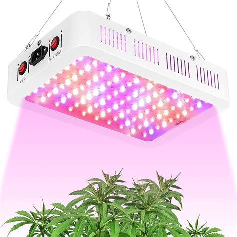 Buy TATU LED Grow Lights 1000W Full Spectrum Growing Lamp Double Chips Indoor s LED Grow Light ...