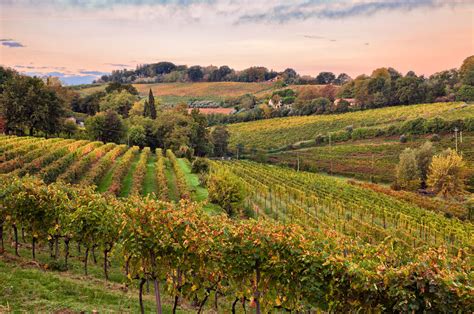 Pausa relax: la campagna emiliana e le sue peculiarità - Agriturismo La Brezza, ristorante e b&b ...