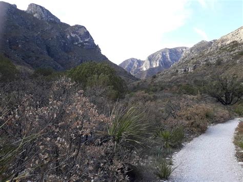 How to Day Hike The McKittrick Canyon Trail in Guadalupe Mountains