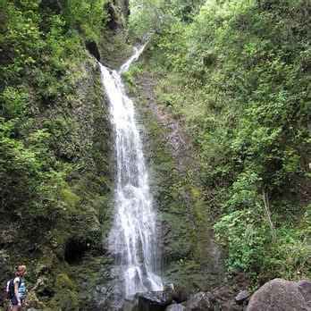 Lulumahu Falls - 713 Photos - Hiking - Honolulu, HI - Reviews - Yelp