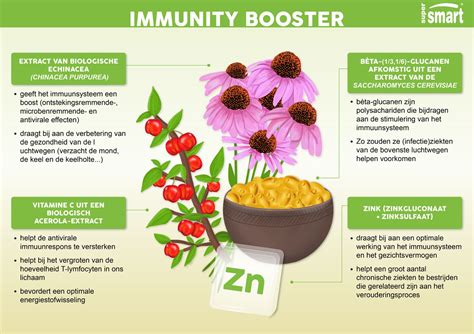 Immunity Booster: een supplement van biologische echinacea om het ...