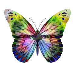 Meaning of Seeing Certain Colored Butterflies