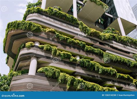 Green Nature Facade on Modern Building Stock Photo - Image of architecture, modern: 126314238