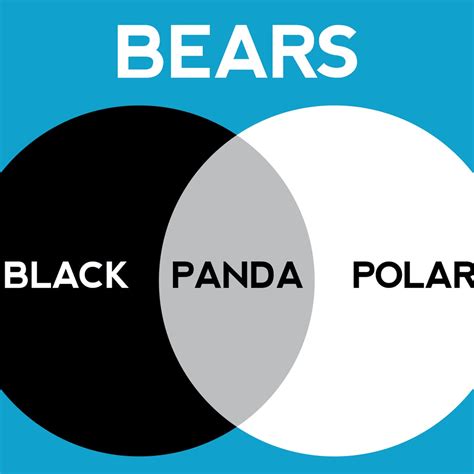 Funny Venn Diagrams Official Store | www.pinnaxis.com