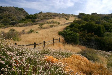 photos of Topanga State Park | Topanga State Park | Santa monica ...