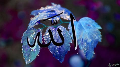 🔥 [50+] Allah Name Picture Wallpapers | WallpaperSafari