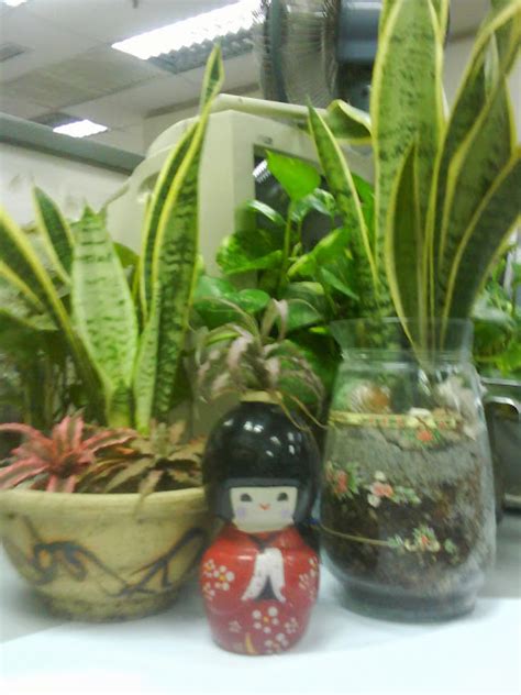 Garden Chronicles: Indoor Plants - Office Cubicle