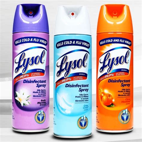 Lysol Disinfectant Spray (Net Wt 170g /340g / 510g) | Shopee Singapore