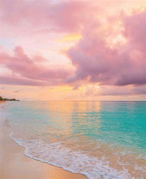 Download A Beach With A Pink Sunset And Water Wallpaper | Wallpapers.com