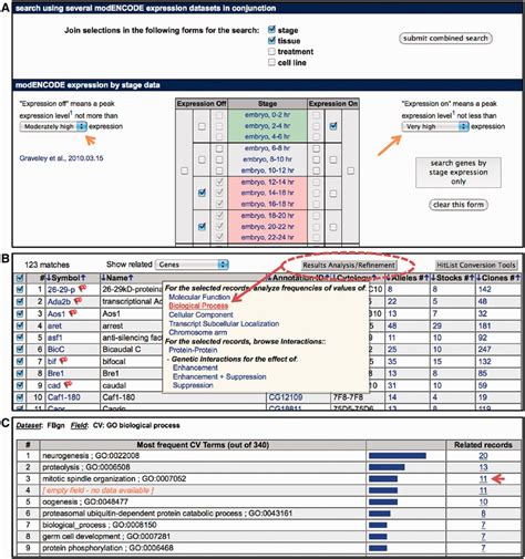 RNA-Seq Search and Results Analysis/Refinement. (A) Portion of input ...