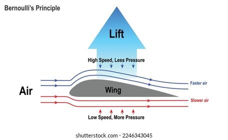 Diagram Showing Bernoullis Principle How Airplane Stock Vector (Royalty Free) 2246343045 ...