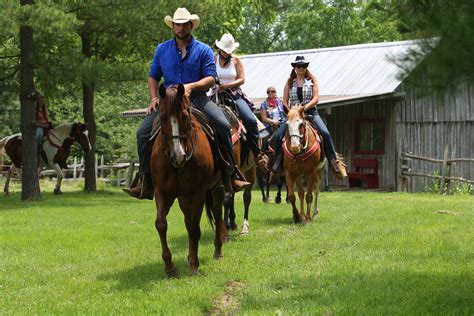 Horseback Riding London, Strathroy, Bed and Breakfast, Texas Longhorn Ranch