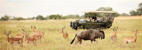 Destination Guide: Kruger National Park | Travel South Africa