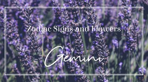 Zodiac Signs and Flowers: Gemini - Bloomin' Blog