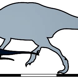 Comparison of histology-based adult body sizes of Mochlodon, Zalmoxes ...