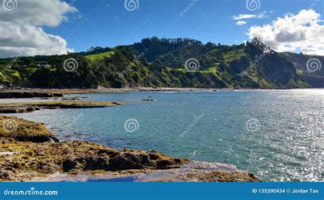 Goat Island Marine Reserve, Popular for Beach Activities and Snorkelling Stock Photo - Image of ...