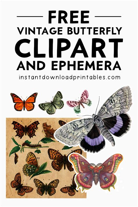 Free Vintage Butterfly Clipart and Ephemera - Instant Download ...