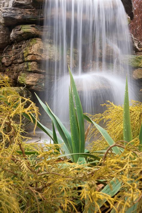 Free photo: Waterfall Foliage - HDR - America, Scene, Rocky - Free Download - Jooinn