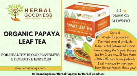 Benefits of drinking Papaya Leaf Tea. - MY TEA SHACK.