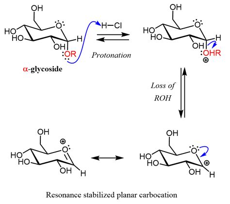 Glycosides - Chemistry Steps