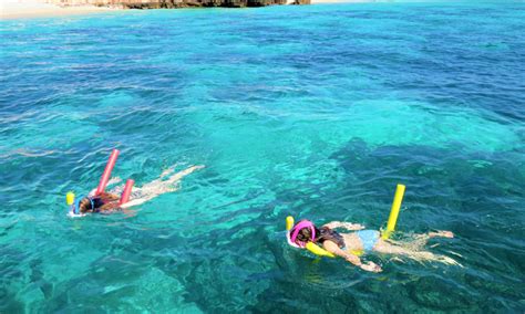 Snorkeling Experience at Damaniyat island on a Glass bottom boat