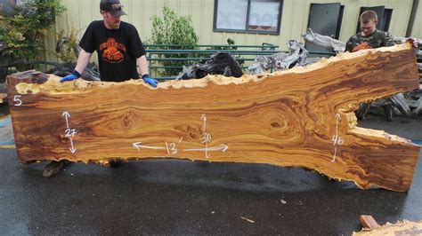 Live Edge Elm Burl & Slabs - Fine Woodworking | Redwood Burl Inc.