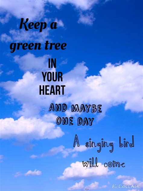 a blue sky with clouds and the words keep a green tree in your heart and maybe one day will come