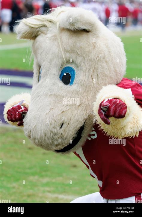 Oklahoma sooners mascot hi-res stock photography and images - Alamy