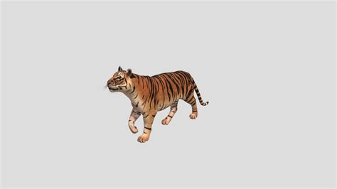 animal - A 3D model collection by lkw1000 - Sketchfab