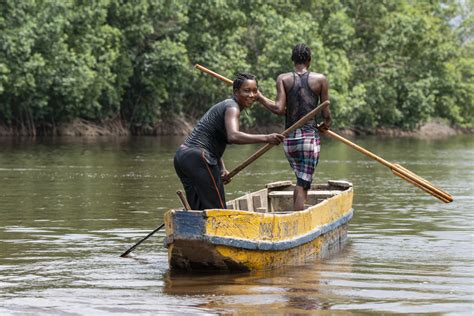 5 Ways Wetlands are Crucial to Climate Change Adaptation - Global Center on Adaptation