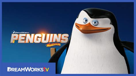 Meet Skipper | PENGUINS OF MADAGASCAR - YouTube