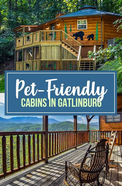 13 Coolest Pet-Friendly Gatlinburg Cabins - Trips To Discover | Gatlinburg cabin rentals ...