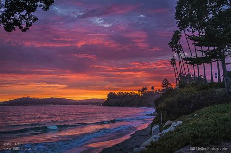 SANTA BARBARA Tropical Butterfly Sunset by Bill Heller Photography ...