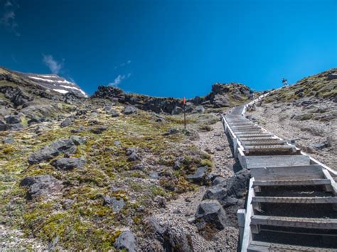 Mount Taranaki Summit - Free Guide » Wild Taranaki