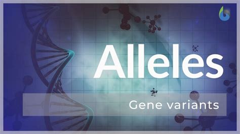 Allele Definition and Examples - Biology Online Dictionary